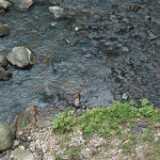 DSCF8136