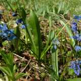 DSCF8248