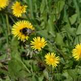 DSCF8270