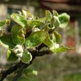 DSCF8283