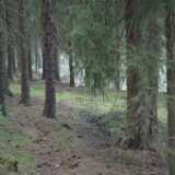 Dscf8142