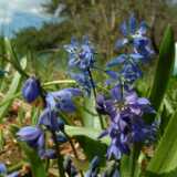 Dscf8251