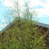 Dscf8257