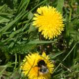 Dscf8275