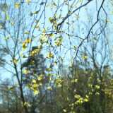 Dscf8293