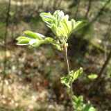Dscf8294