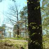 Dscf8295