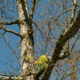 Dscf8297