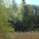 Dscf8301