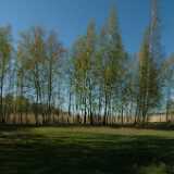 Dscf8303