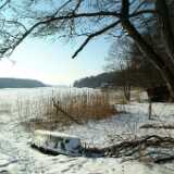 Dscf0229