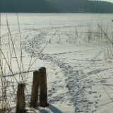 Dscf0234
