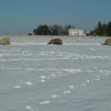 Dscf02370