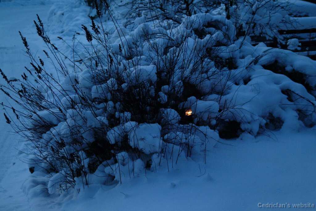 Dscf0072