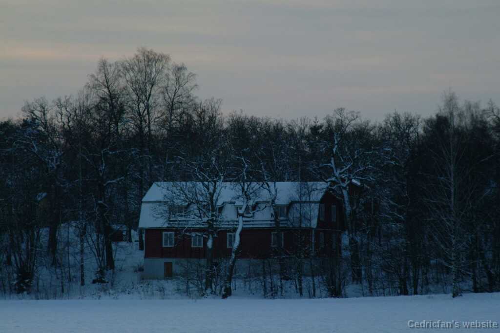 Dscf0041