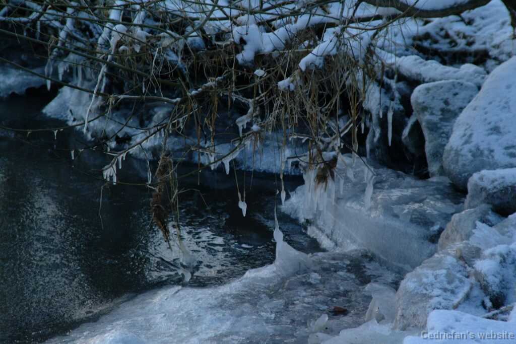 Dscf0050