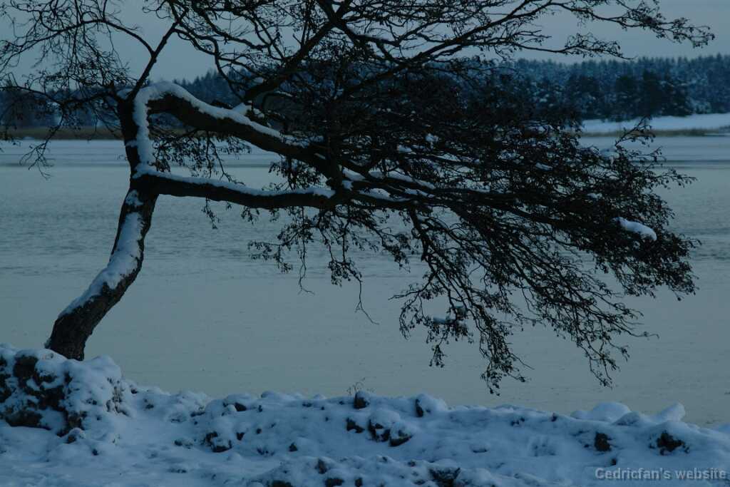 Dscf0059