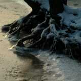 Dscf0034
