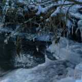 Dscf0050