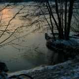Dscf0051