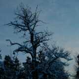 Dscf0062