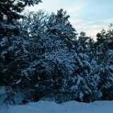 Dscf0063