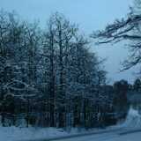 Dscf0066