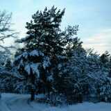 Dscf0067