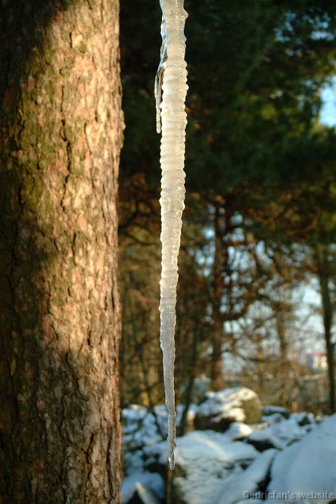 Dscf0244