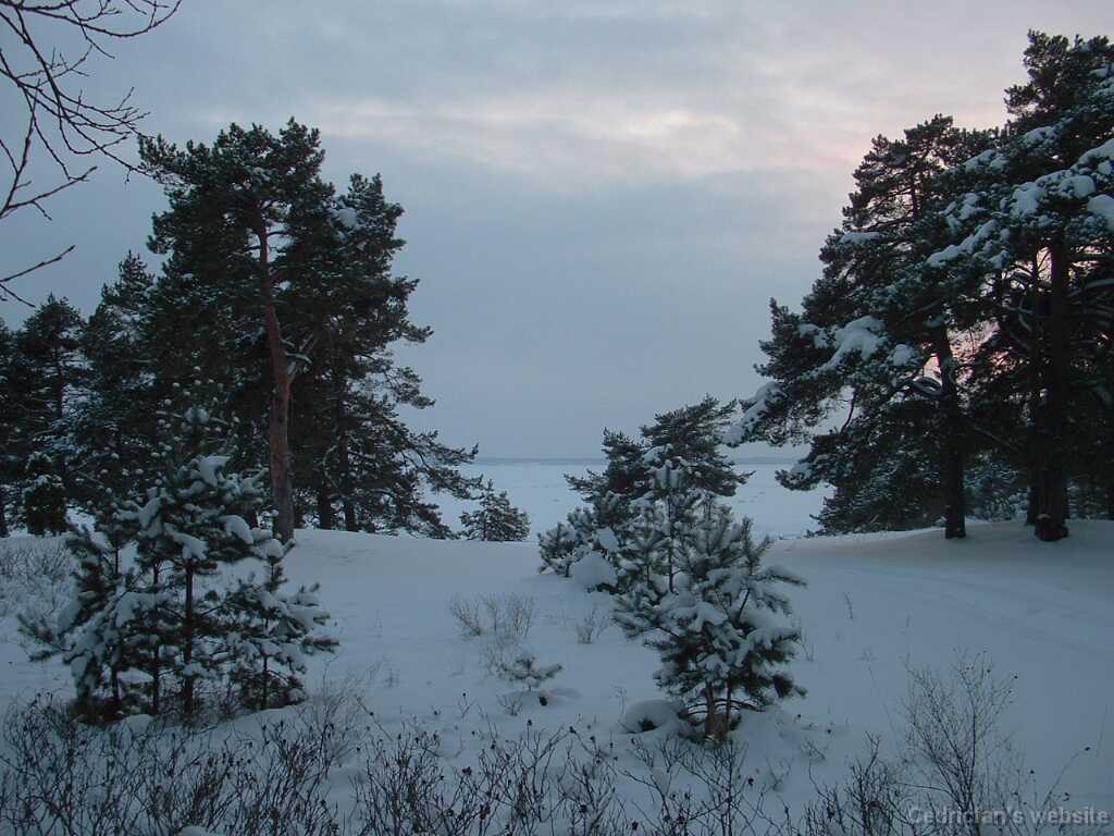 DSCF0014