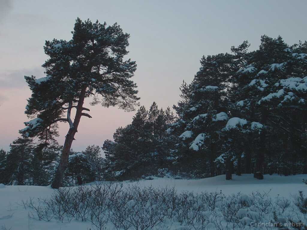 DSCF0015