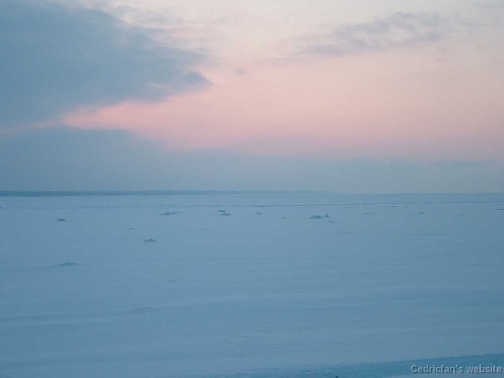 DSCF0019