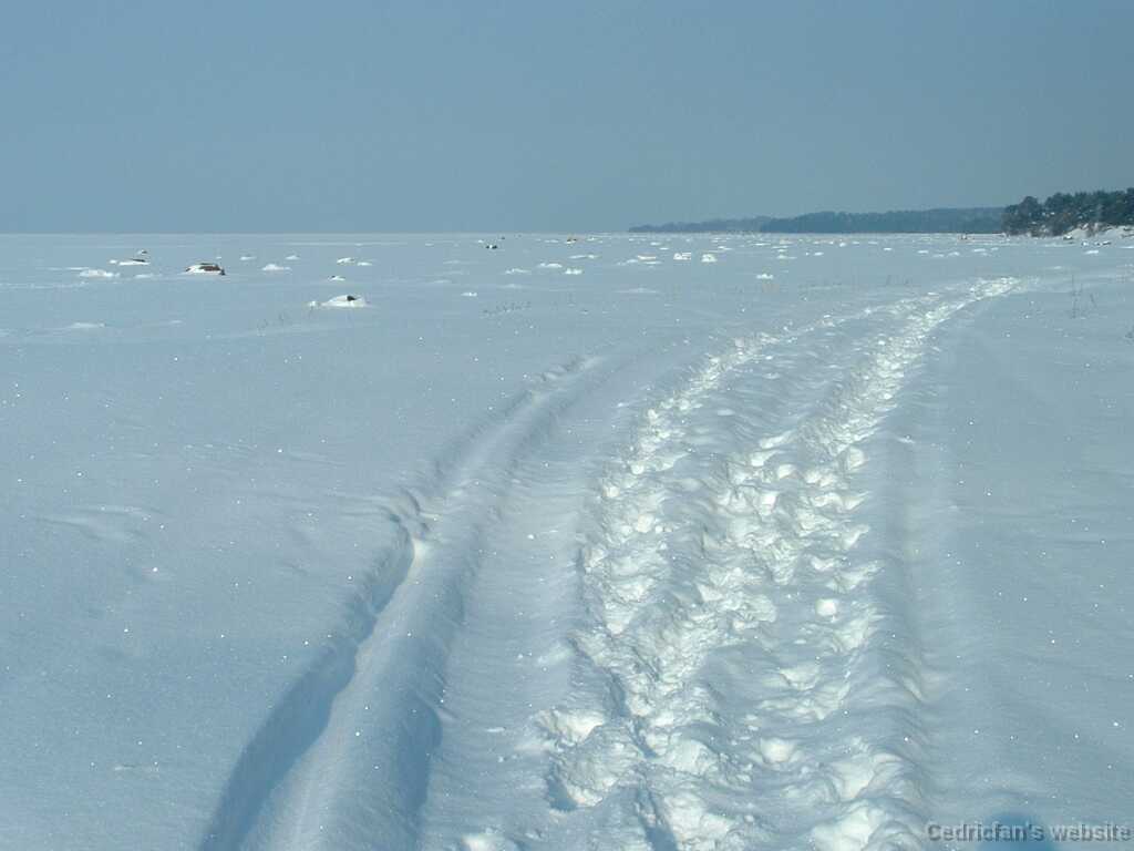 DSCF0032