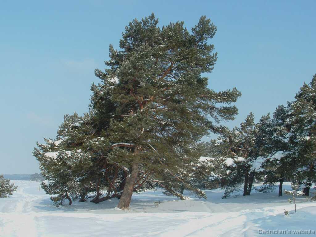 DSCF0035