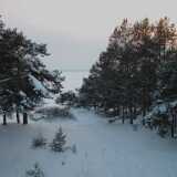 DSCF0011