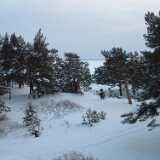 DSCF0012