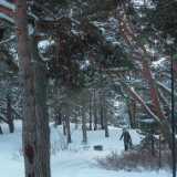 DSCF0013