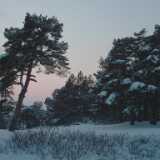 DSCF0015