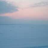 DSCF0019