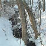 DSCF0022