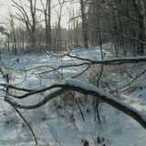 DSCF0026
