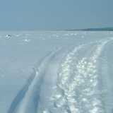 DSCF0032