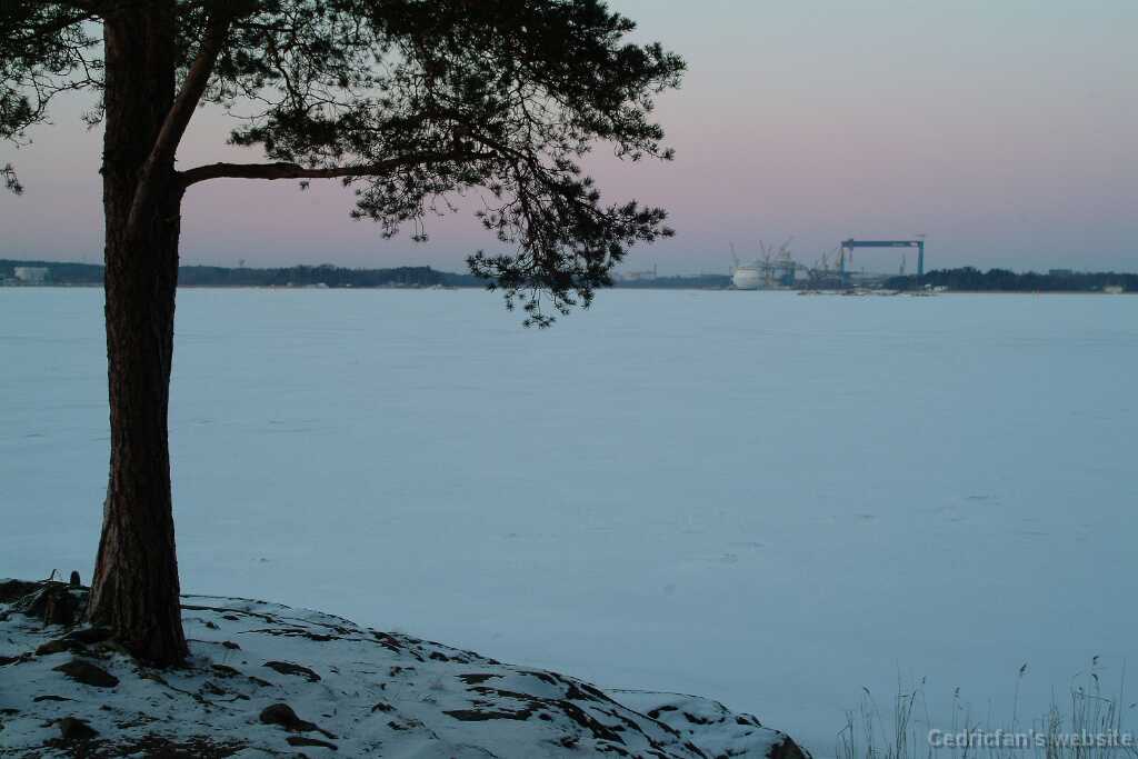 DSCF1735