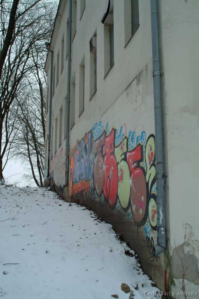 DSCF1763