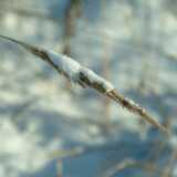 DSCF1707