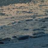 DSCF1726