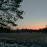 DSCF1732