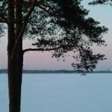 DSCF1737