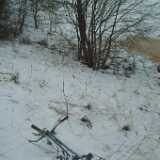 DSCF1756