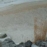 DSCF1758